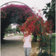 idda, 73