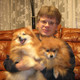 Dima, 60