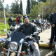 haydar, 50