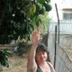 Mina, 71